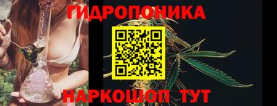 стаф Камышлов