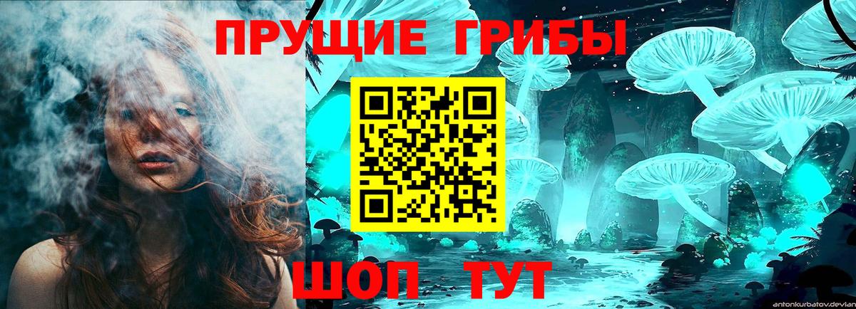 Ливны  Псилоцибиновые грибы Psilocybe  Вход с VPN  Галлюциногенные грибы MAGIC MUSHROOMS 